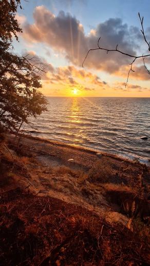 Radreise Dänemark 2025 #394, Fyn, Sjælland, Møn, Lolland, Langeland, Ærø, August 2025